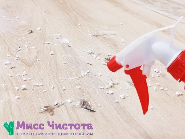 Mouiller les plumes et les boules de mousse éparpillées sur le sol avec de l'eau