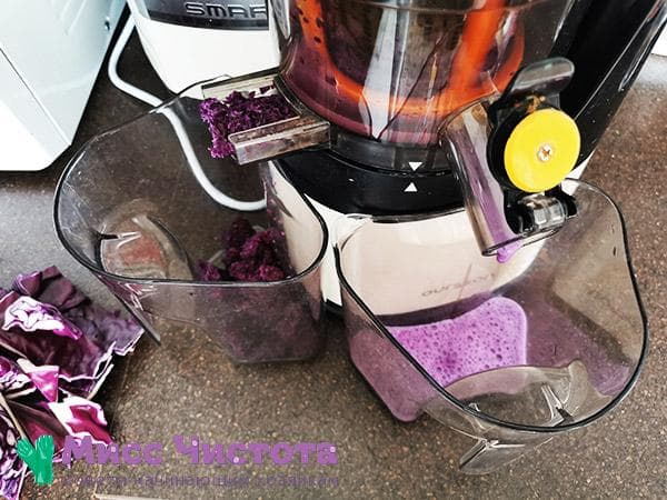 Jus de chou dans un mixeur