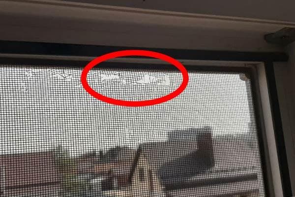 Moustiquaire pour fenêtres en plastique