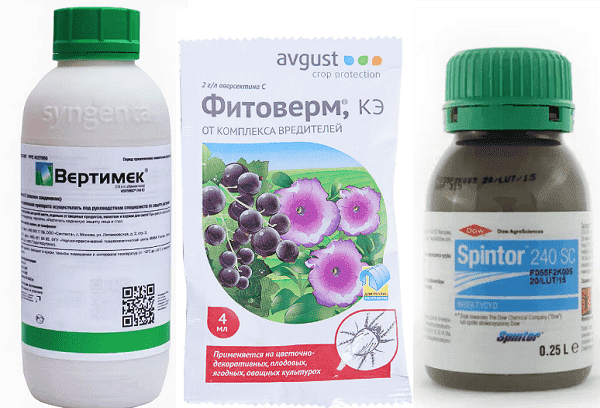 Préparations insecticides