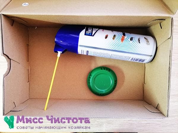 dissolvant de mites de chaussures