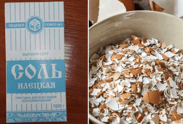 Cuillères et fourchettes pour nettoyer les coquilles d'œufs et le sel