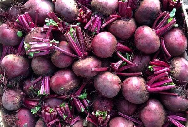 Conserver les betteraves sur le balcon dans une caisse