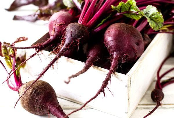 Betterave en boîte