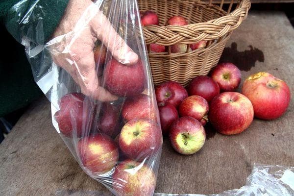 Pommes dans des sacs en plastique
