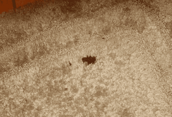 du sang sur le tapis