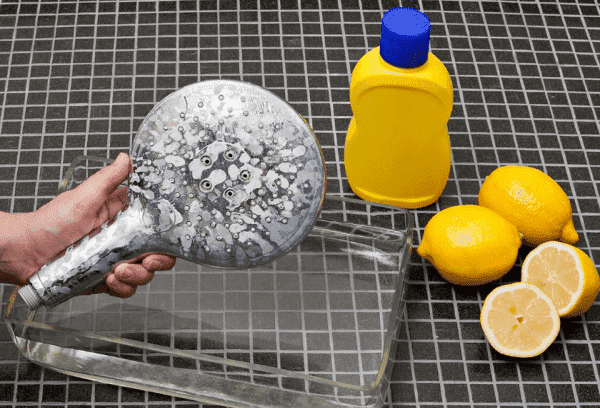 Dépôts de calcaire sur la pomme de douche