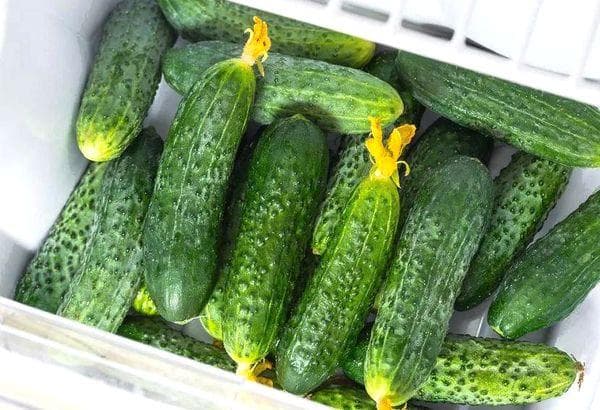 Concombres au réfrigérateur