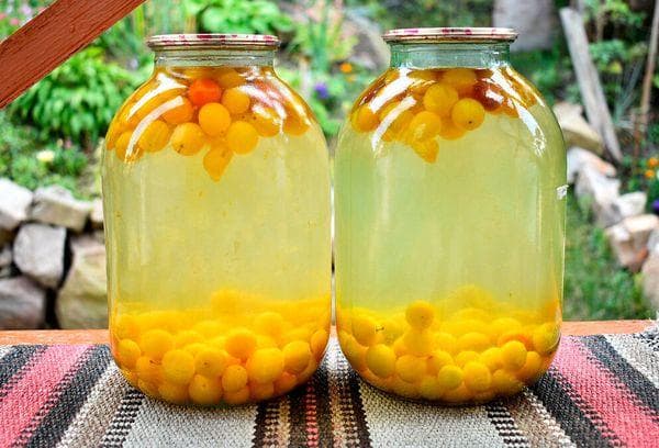 Compote pour l'hiver