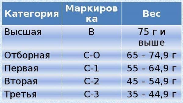Catégories, étiquetage et poids des œufs