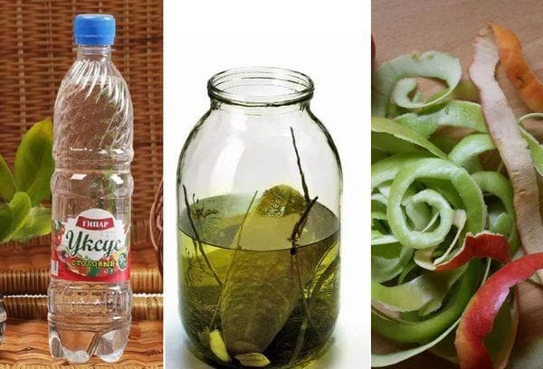 Vinaigre, cornichon de concombre, épluchures de fruits