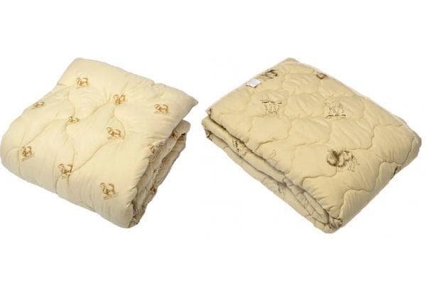 Couverture chameau et mouton