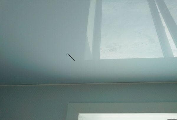 Dommages mécaniques au plafond
