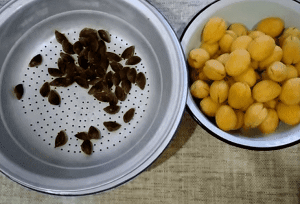 Confiture d'abricots aux noyaux 4