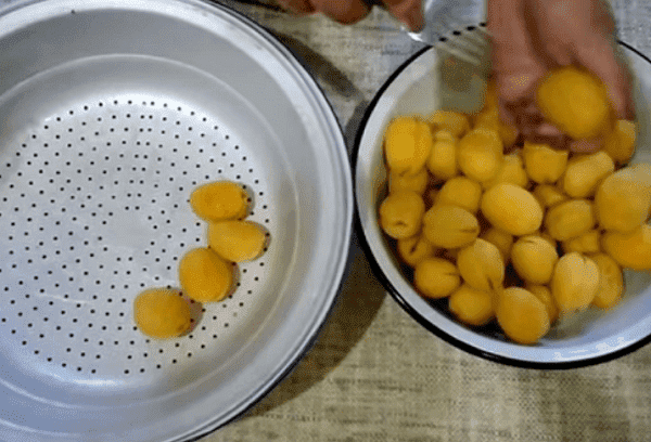 Confiture d'abricots aux noyaux 6