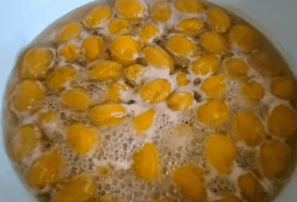 Confiture d'abricots aux noyaux 7