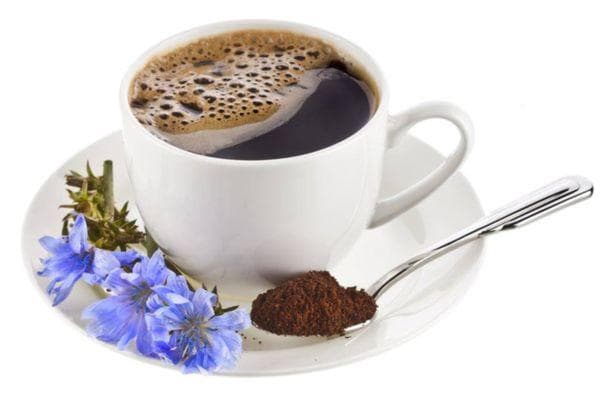 Avantages et inconvénients de la chicorée instantanée