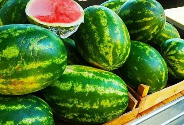 Vendre des pastèques