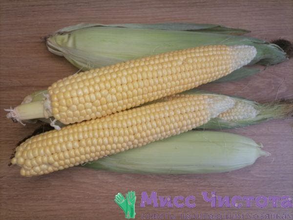 Cuisson du maïs photo 1