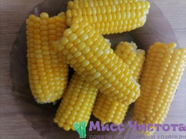 Cuisson du maïs photo 10