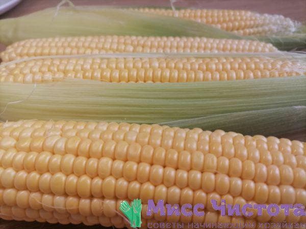 Cuisson du maïs photo 2