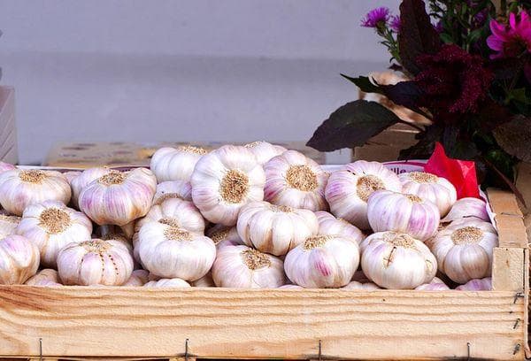 Ail dans une boîte en bois