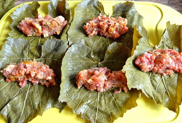 Dolma au poulet haché