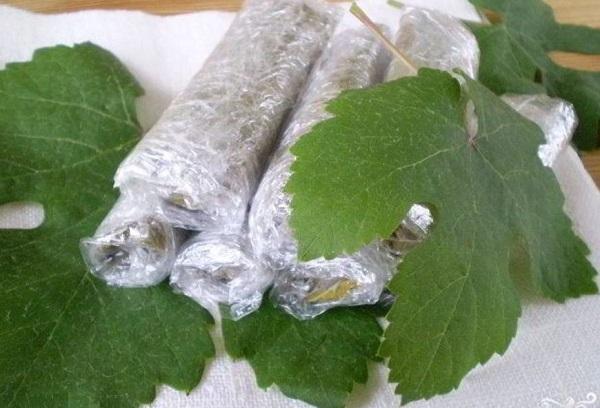 Feuilles de vigne congelées