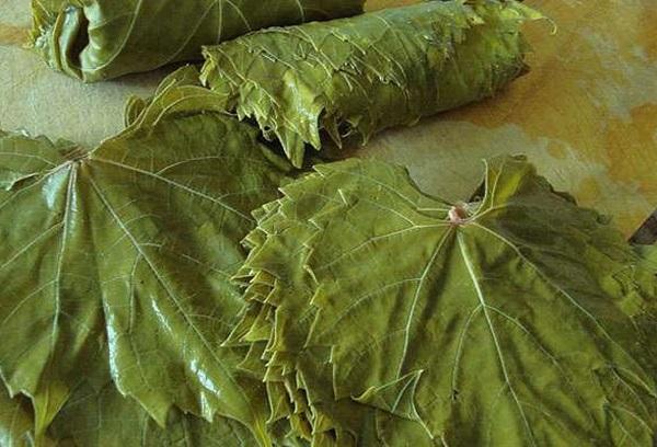 Feuilles de vigne pour dolma