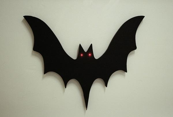 Chauve souris