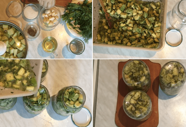 Courgettes comme les champignons de lait