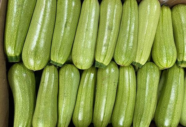 Jeunes courgettes