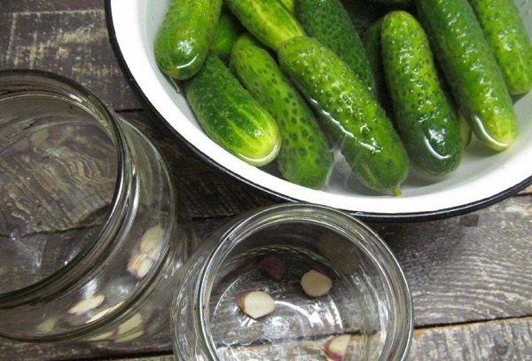 Concombres à l'eau