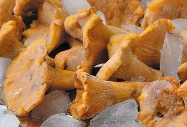 Chanterelles surgelées