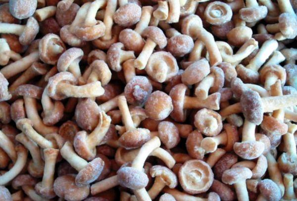 Champignons au miel surgelés