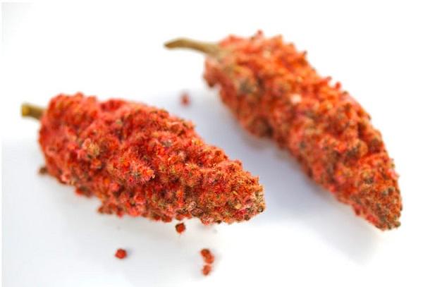 Assaisonnement sumac vinaigré