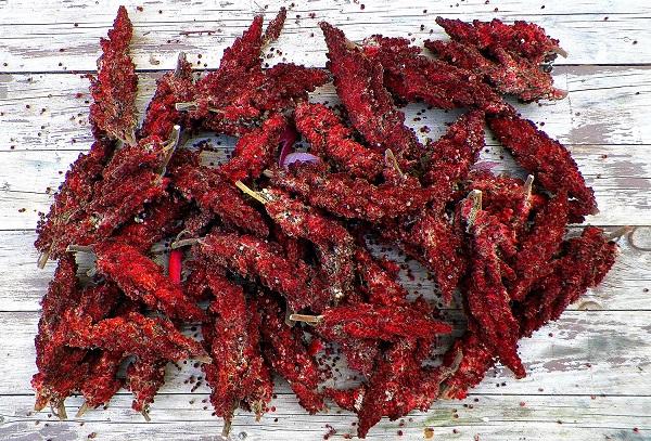 Assaisonnement rouge oriental