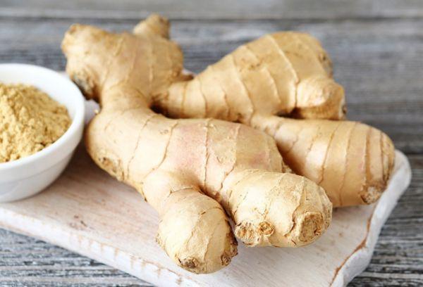 Gingembre