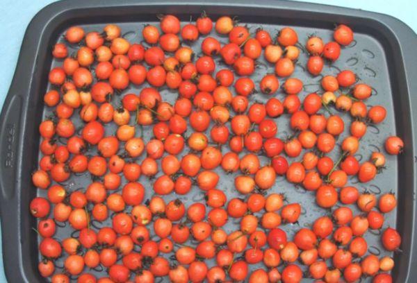 Sécher l'aubépine au four