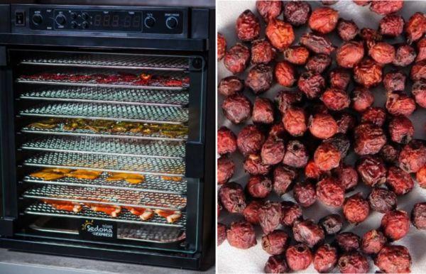 Digesteur séchoir électrique