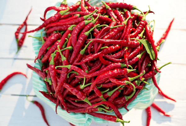 poivre de Cayenne