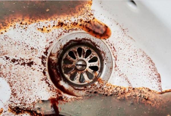 Du marc de café dans l'évier