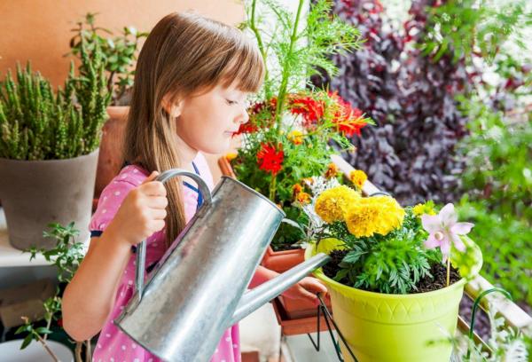 Est-il possible d'arroser les fleurs avec de l'eau salée ?
