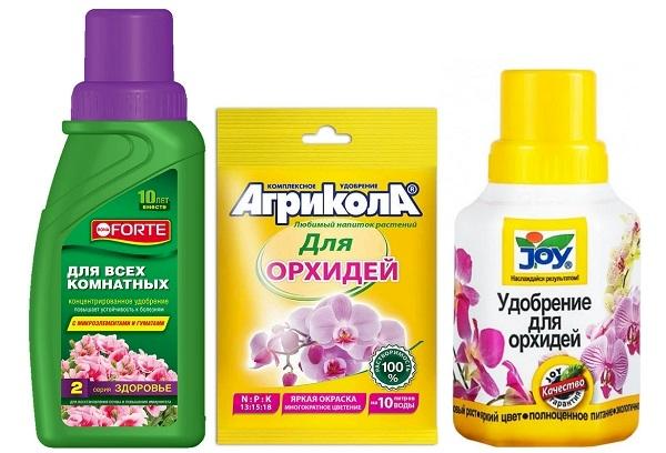 Compositions pour nourrir les fleurs de la maison