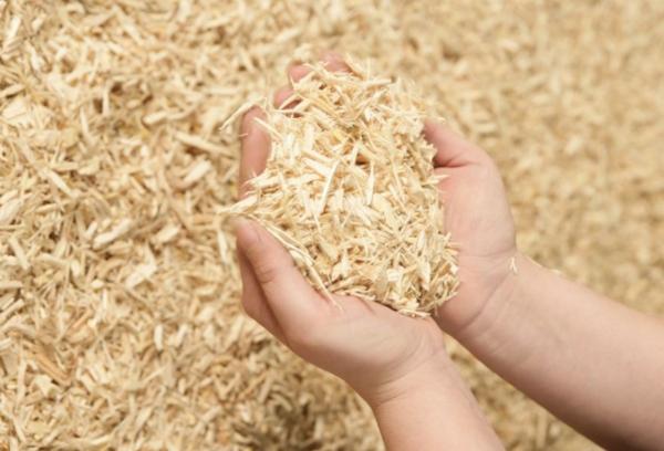 Sciure pour le nettoyage des tapis