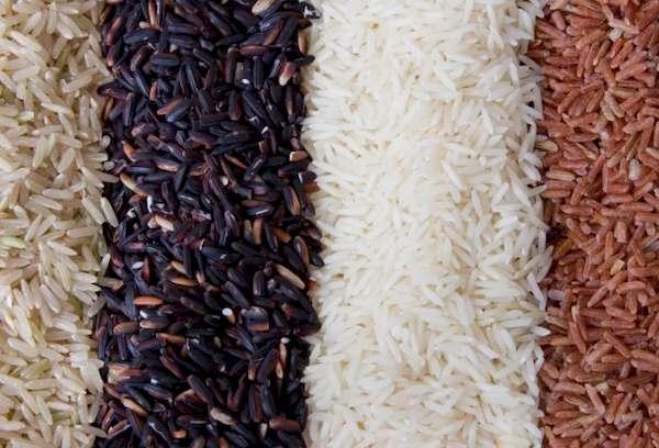 Variétés de riz