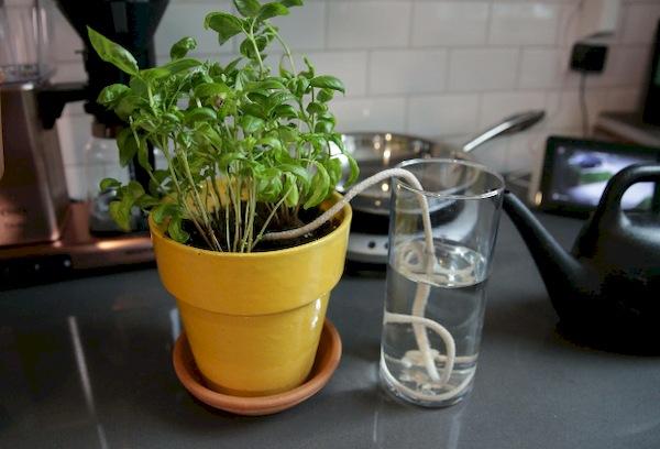 Arrosage automatique à l'aide d'une mèche