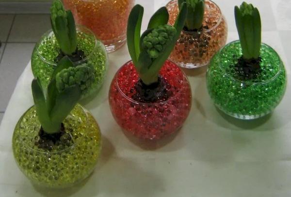 Hydrogel pour plantes