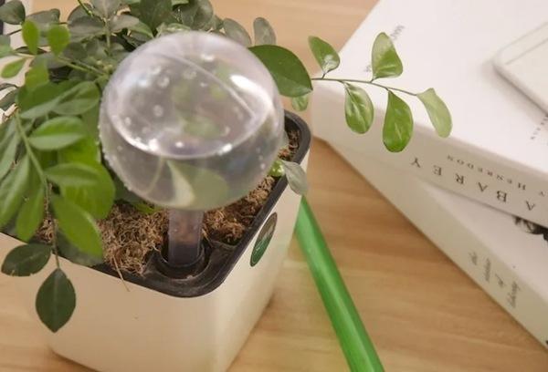 Système d'arrosage automatique pour plantes d'intérieur à l'aide de flacons