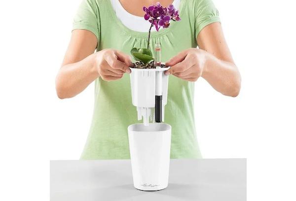 Pots avec arrosage automatique